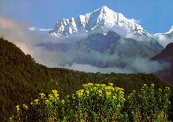Tibet